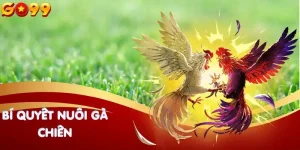 bi-quyet-nuoi-ga-chien