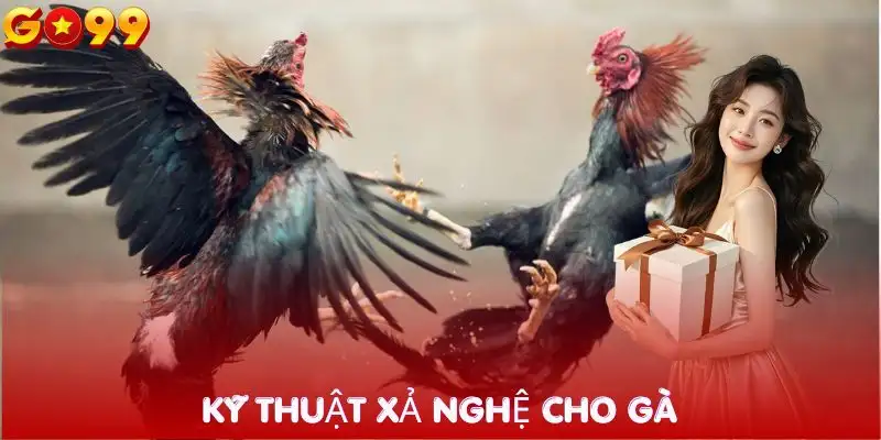 bi-quyet-nuoi-ga-chien-ky-thuat-xa-nghe