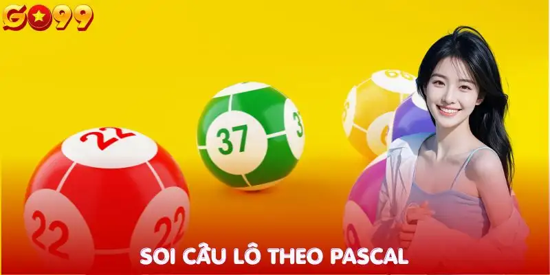 cau-lo-dep-soi-cau-lo-pascal