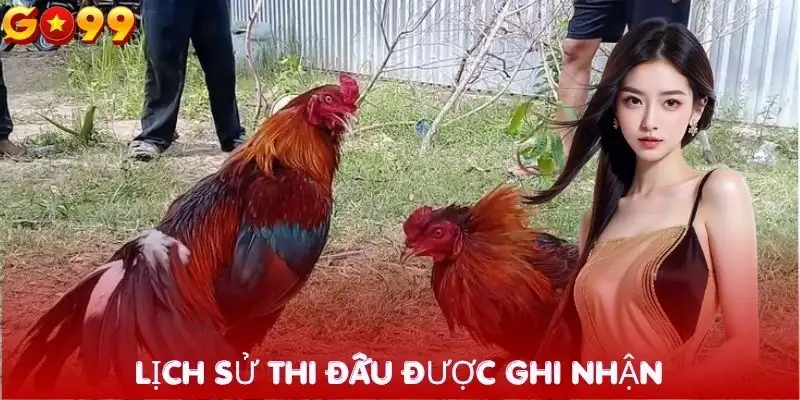 da-ga-go99-ghi-nhan-lich-su-thi-dau