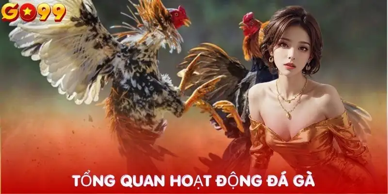 da-ga-go99-tong-quan