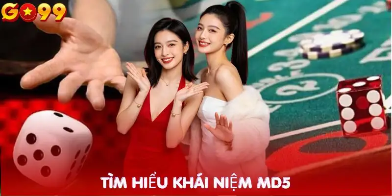 md5-co-du-doan-tai-xiu-duoc-khong-khai-niem